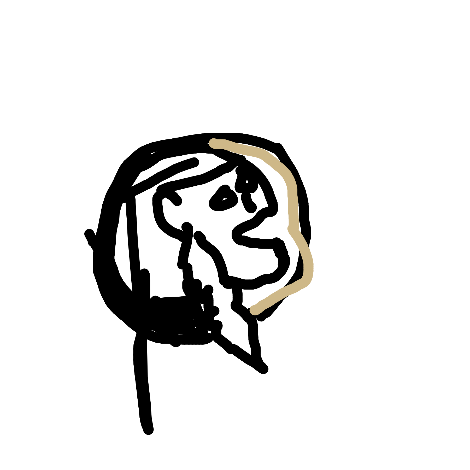 the drawing